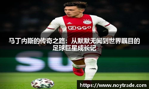 mk体育官网入口